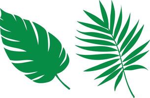 Tropical Green Leaves Set, Botanical Nature Elements on White Background vector