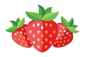 Three Red Strawberries with Green Leaves and Seeds on a White Background vector