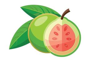Sliced Guava Fresh Fruit Icon with Green Leaves on White Background vector