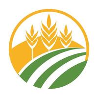 Agriculture Crop Field with Golden Wheat and Green Field Lines in Round Design vector