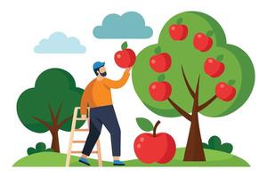 Flat Man Picking Apples on Ladder in Orchard with Blue Clouds Above vector
