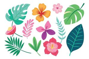 Tropical Flowers and Leaves Set in Cartoon Style on White Background vector