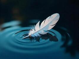 Feather Floating on Water Surface Creating Ripples in Serene Blue photo