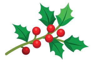 Holly Branch with Red Berries and Green Leaves on a White Background Ornament vector