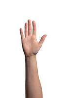 Hand raised with an open palm, symbolizing greeting, stop, or high-five gesture. Fingers extended in photo