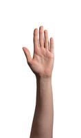 Female hand raised with an open palm, symbolizing a stop gesture, greeting, or attention signal. photo