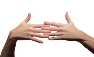 Hands with neatly groomed short nails intertwined in an elegant pose. Glossy, polished nails and photo