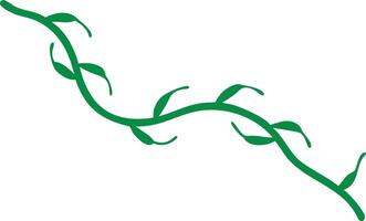 Isolated Green Vine, Twigs and Leaves Design Element on White Background vector