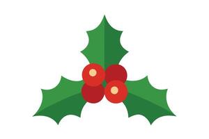 Holly Berries and Leaves with Christmas Elements on White Background vector