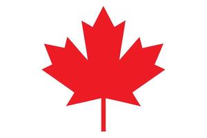 Flat Red Maple Leaf Icon On White Background For Design vector