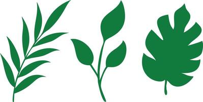 Green Foliage Set Palm Leaf, Branch Leaves, and Simple Leaf Isolated on White vector