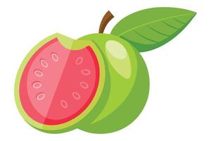 Sliced Guava Fruit with Green Leaf Isolated on a White Background Cartoon Style vector