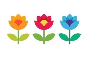Minimalist Colorful Flowers Design with Stems and Leaves on a White Background vector