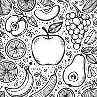 fruits cute line drawing vector