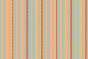 Tailor background texture, romance seamless vertical textile. Sndia pattern stripe lines fabric in orange and cyan colors. vector