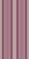Oorizontal vertical lines textile, kingdom texture seamless. Crend pattern stripe fabric background in pink and light colors. vector