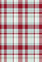 Contour tartan textile check, vichy plaid seamless . Post texture pattern fabric background in light and red colors. vector