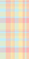 Pastel plaid pattern, perfect for textile design, websites, and branding. Soft, delicate colors create a calming, feminine aesthetic. vector