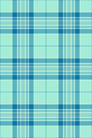 Elegant teal and pale green plaid pattern. Perfect for textile design, fashion, home decor, or website backgrounds. vector