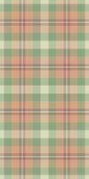 Subtle pastel plaid pattern. Perfect for textile design, apparel, wrapping paper, or website backgrounds. Evokes feelings of calm and rustic charm. vector