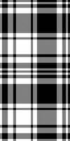 Expressive tartan fabric plaid, poster texture seamless . Ethnicity textile pattern background check in black and white colors. vector