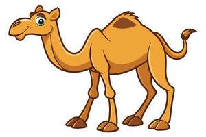 Cartoon Camel with Googly Eyes on Transparent Background. Animal vector