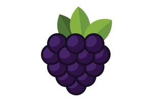 Fresh Blackberry Fruit With Leaves On A Transparent Background vector