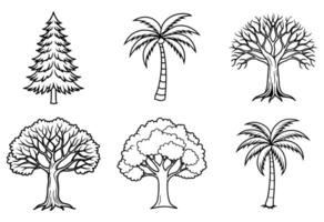 6 tree's line art on white background, palm, oak, pine, Coconut, Banyan tree. tree sat. vector