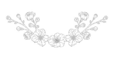 Beautiful vignette of apricot blossom branch in a graceful thin line. Japanese sakura flowers frame outline. Hand drawn sketch of cherry, plum, or peach blossom branch vector