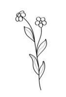 Sketch of a forget-me-not wildflower. illustration of a spring flower icon. vector