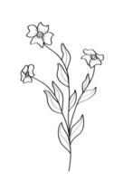 Sketch of a wildflower. illustration of a spring flower icon vector