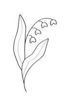 Sketch of a lily wildflower. illustration of a spring flower icon. vector