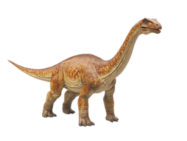 Sauropod isolated on transparent background png