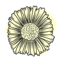 MobileA poster, a poster with a flower in outline on a colored background for an icon, logo, or interior design. A flower in the style of line art. vector