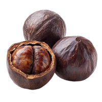 Soapnut isolated on transparent background png