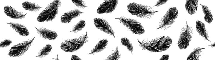 Black Feathers pattern on white background, Hand drawn sketch style vector