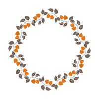 Wreath of physalis branches with orange lantern fruits and leaves. Seamless brush. Round border, frame. Isolated, on white background. vector