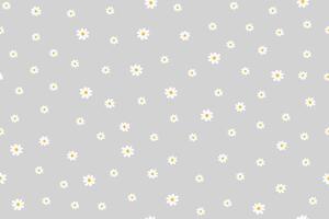 Nature seamless pattern of chamomiles on gray background. Spring, Easter and summer concept. vector