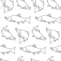 seamless pattern of salmon fish outlines on white background vector