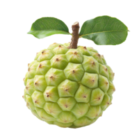 sugar apple isolated on transparent background png