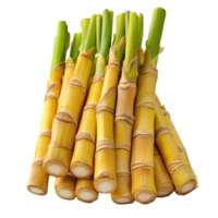 Sugarcane stack isolated on transparent background png