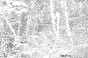 Texture halftone effect grunge dots black and white background. vector
