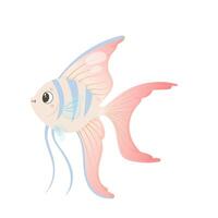 Elegant pastel angelfish in cartoon style with long fins vector