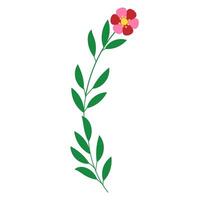cute flower with branch and leafs decorative icon illustration design. vector