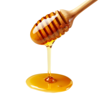 Wooden dripper with honey dripping isolated on transparent background png