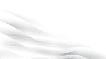 Abstract white and gray color, modern design stripes background with round shape and straight lines, illus vector