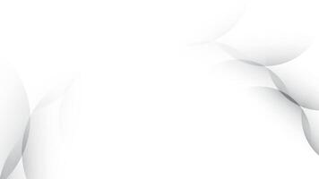 Abstract white and gray color, modern design stripes background with curve lines, illus vector