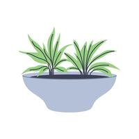 Simple illustration of succulent plants in pot. Perfect for minimalist and botanical designs. vector