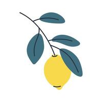 Minimalist illustration of lemon on branch with leaves. Perfect for summer and food designs. vector