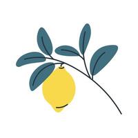 Simple illustration of lemon on branch with leaves. Perfect for summer, botanical and food designs. vector